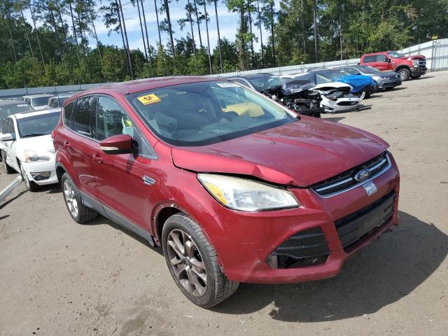 FORD ESCAPE SEL 2013 with VIN 1FMCU0HX6DUB77245 - Photo from auction