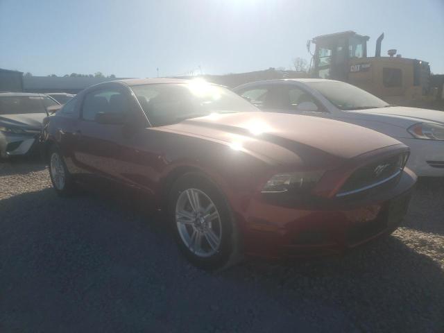 FORD MUSTANG 2014 with VIN 1ZVBP8AM4E5315461 - Photo from auction