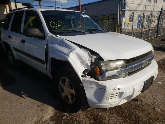 Photo 9 from auction – 2005 CHEVROLET TRAILBLAZE with VIN 1GNDT13S252275058