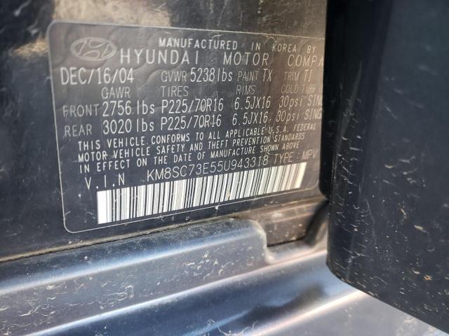 Photo 10 from auction – 2005 HYUNDAI SANTA FE with VIN KM8SC73E55U943318