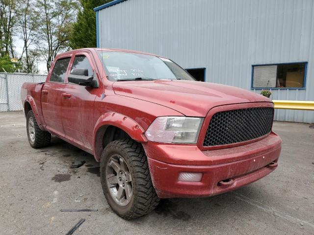 DODGE RAM 1500 2009 with VIN 1D3HV13T79S800139 - Photo from auction