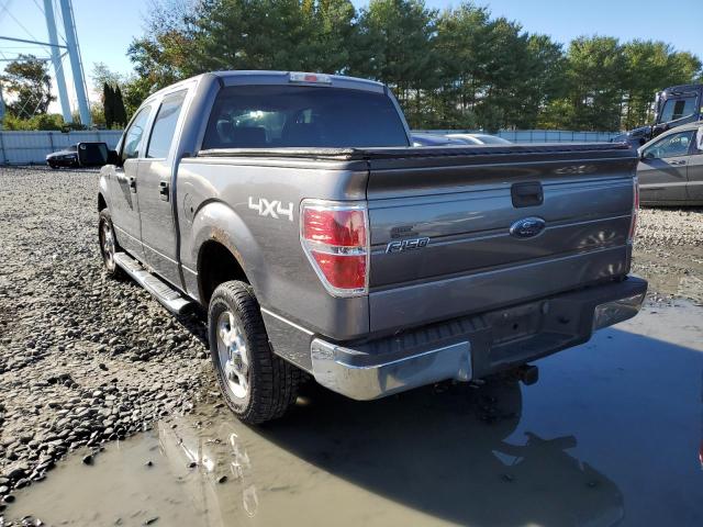 Photo 3 from auction – 2009 FORD F150 SUPER with VIN 1FTRW14839FA88340
