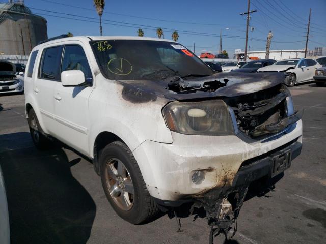 HONDA PILOT EXL 2010 with VIN 5FNYF3H61AB021518 - Photo from auction