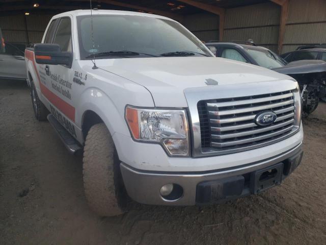 صورة رقم 1 من المزاد - 2012 FORD F150 SUPER مع VIN 1FTFX1CFXCKD30183