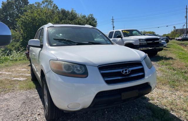HYUNDAI SANTA FE G 2007 with VIN 5NMSG73D17H081211 - Photo from auction