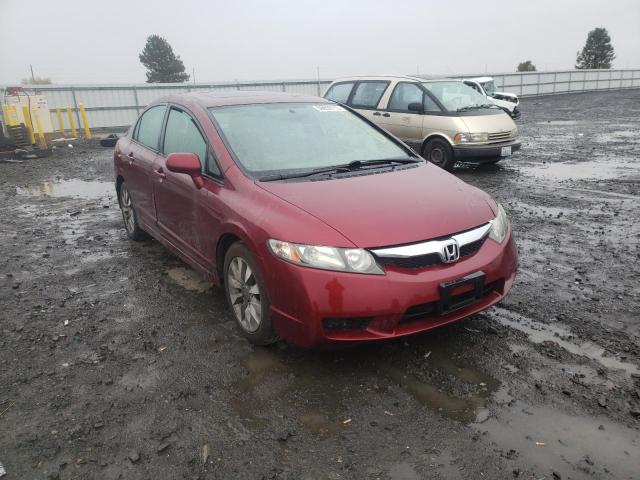 HONDA CIVIC EX 2010 with VIN 19XFA1F86AE071044 - Photo from auction
