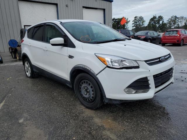 FORD ESCAPE SE 2014 with VIN 1FMCU0GX1EUD02395 - Photo from auction