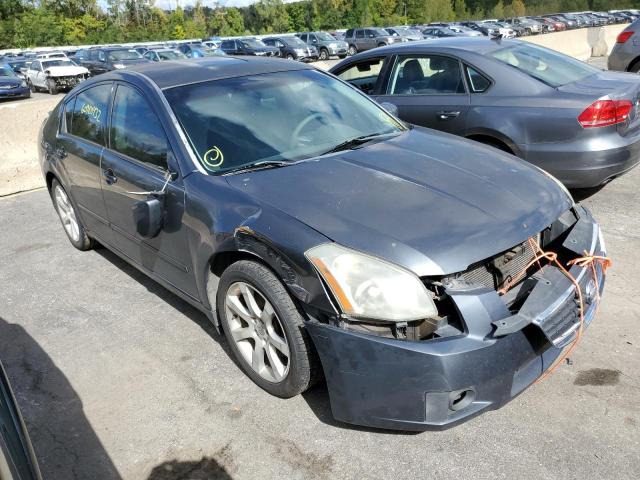 NISSAN MAXIMA SE 2008 with VIN 1N4BA41E78C824245 - Photo from auction