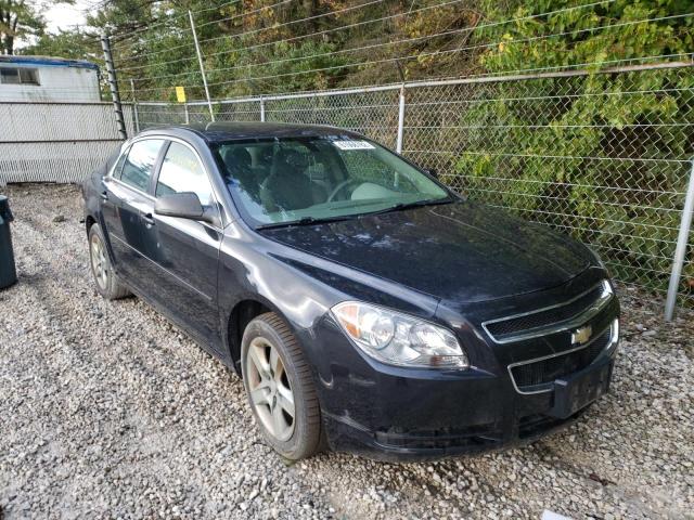 CHEVROLET MALIBU LS 2012 with VIN 1G1ZB5E02CF222895 - Photo from auction