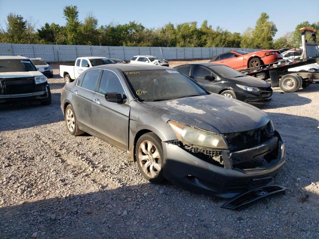 HONDA ACCORD EXL 2010 with VIN 5KBCP3F85AB008929 - Photo from auction