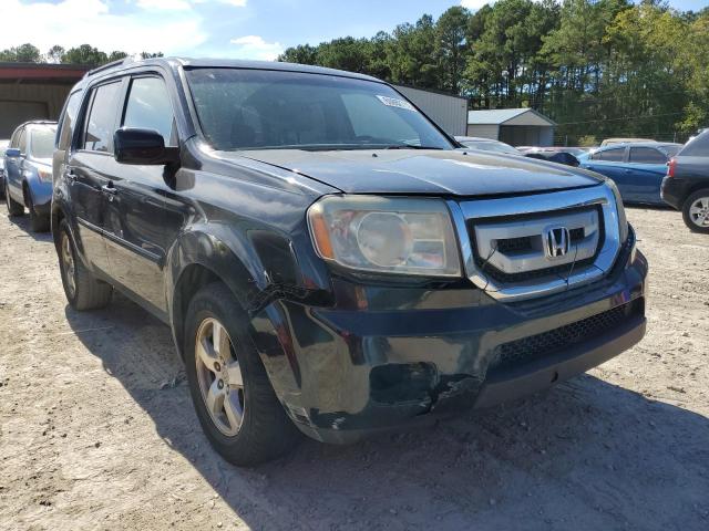 HONDA PILOT EXL 2009 with VIN 5FNYF486X9B012026 - Photo from auction