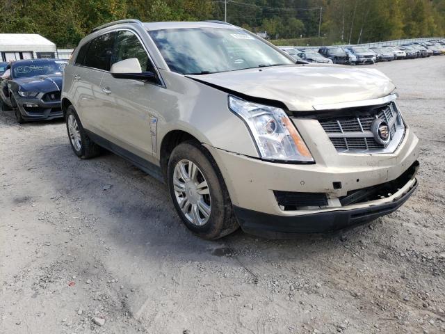 CADILLAC SRX LUXURY 2011 with VIN 3GYFNDEY9BS520320 - Photo from auction