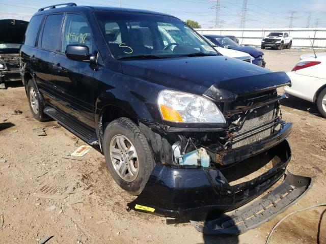 HONDA PILOT EXL 2005 with VIN 5FNYF186X5B011838 - Photo from auction