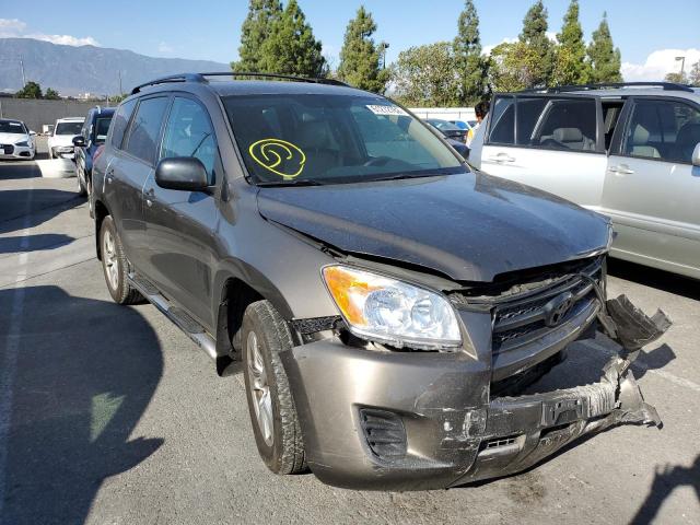 TOYOTA RAV4 2011 with VIN 2T3BF4DV2BW146886 - Photo from auction