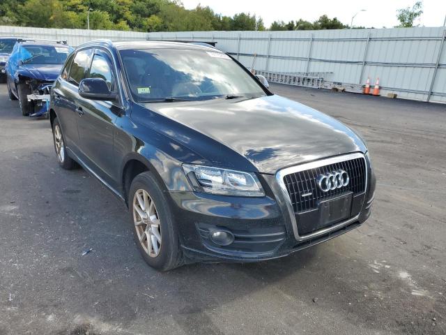 AUDI Q5 PREMIUM 2010 with VIN WA1CKAFP1AA070159 - Photo from auction