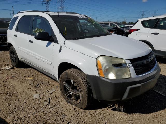 CHEVROLET EQUINOX LS 2005 with VIN 2CNDL13F556183565 - Photo from auction