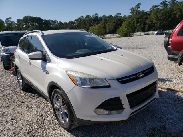 FORD ESCAPE SE 2014 with VIN 1FMCU0GX7EUA45050 - Photo from auction
