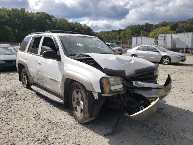 CHEVROLET TRAILBLAZE 2003 with VIN 1GNDT13S232377666 - Photo from auction
