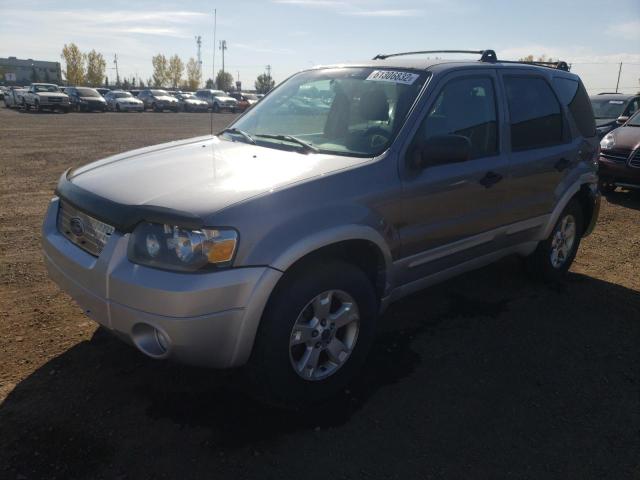 Photo 2 from auction – 2007 FORD ESCAPE XLT with VIN 1FMYU93107KA00820