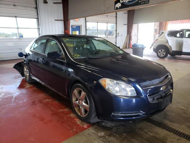 CHEVROLET MALIBU 2LT 2010 with VIN 1G1ZD5EB1AF315237 - Photo from auction