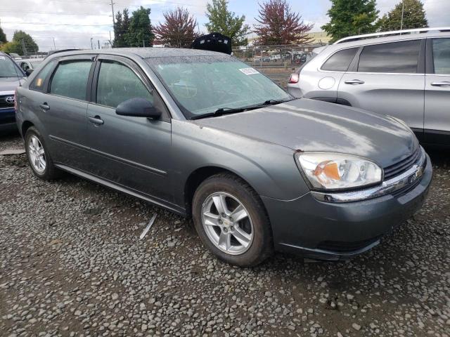 Photo 1 from auction – 2005 CHEVROLET MALIBU MAX with VIN 1G1ZT62875F310745