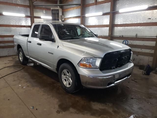 DODGE RAM 1500 2009 with VIN 1D3HB18P39S731549 - Photo from auction
