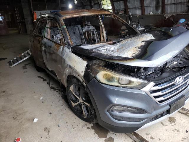 HYUNDAI TUCSON LIM 2017 with VIN KM8J3CA24HU341771 - Photo from auction