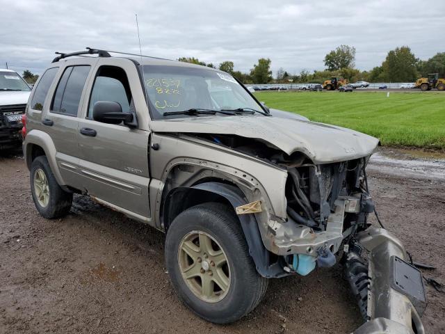 JEEP LIBERTY LI 2004 with VIN 1J4GL58K54W142091 - Photo from auction