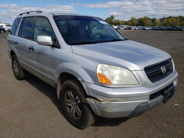 HONDA PILOT EX 2005 with VIN 5FNYF18455B065790 - Photo from auction
