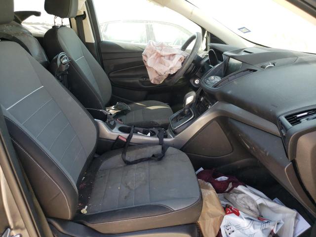 Photo 5 from auction – 2013 FORD ESCAPE SE with VIN 1FMCU0GX6DUC45044