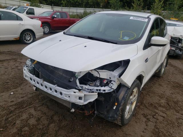 Photo 2 from auction – 2013 FORD ESCAPE SE with VIN 1FMCU9GXXDUB94667