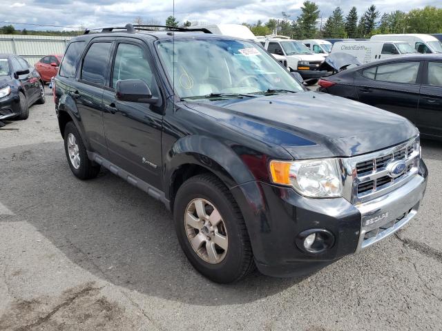 FORD ESCAPE HYB 2009 with VIN 1FMCU59399KA91827 - Photo from auction