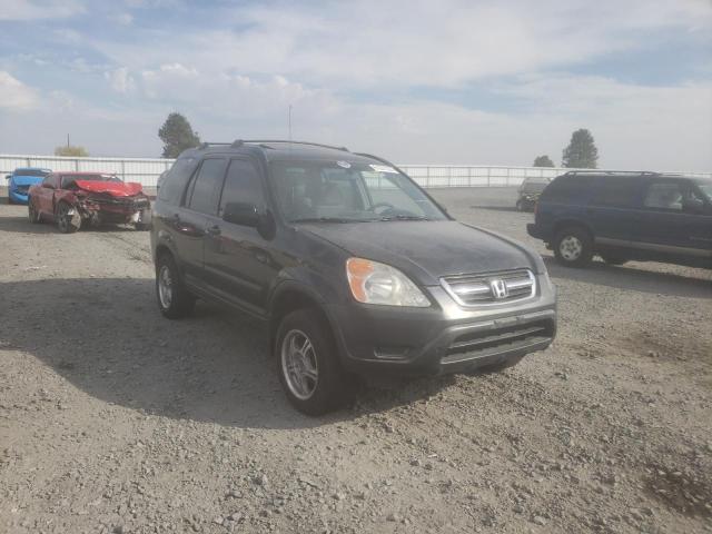 HONDA CR-V EX 2004 with VIN JHLRD78844C021102 - Photo from auction