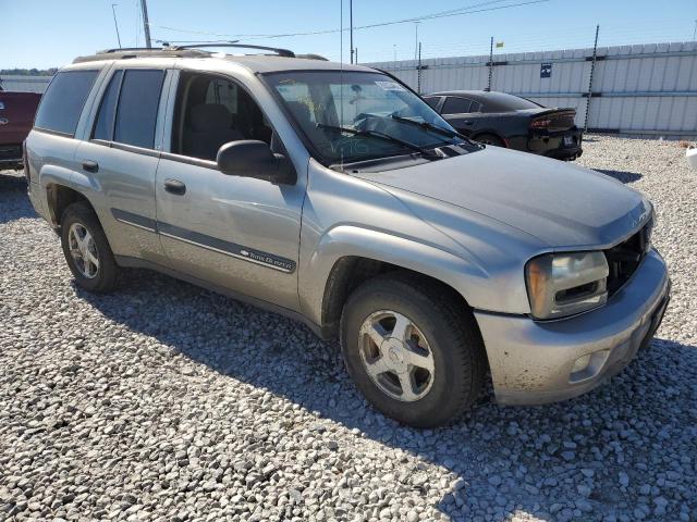 CHEVROLET TRAILBLAZE 2002 with VIN 1GNDT13SX22216299 - Photo from auction