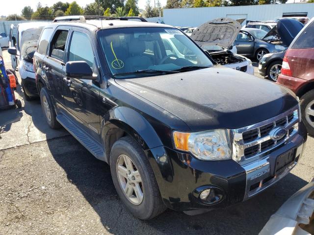 FORD ESCAPE HEV 2008 with VIN 1FMCU49H58KD32464 - Photo from auction