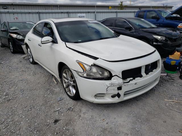 NISSAN MAXIMA S 2010 with VIN 1N4AA5AP8AC844531 - Photo from auction