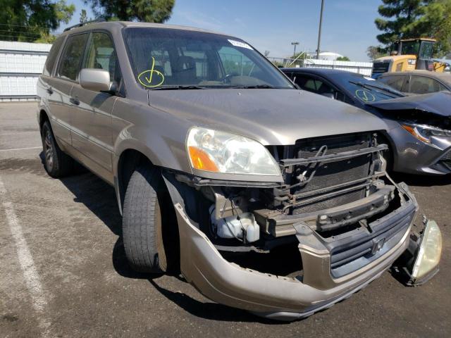 HONDA PILOT EXL 2005 with VIN 2HKYF185X5H545821 - Photo from auction