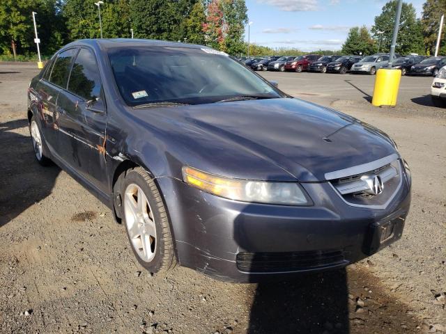 ACURA TL 2004 with VIN 19UUA66214A068920 - Photo from auction