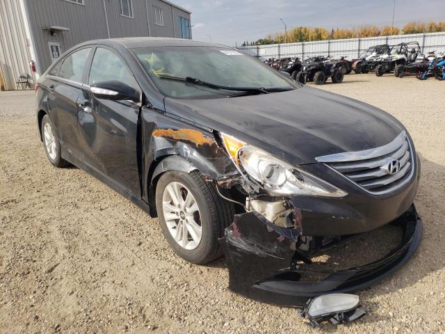 HYUNDAI SONATA GLS 2014 with VIN 5NPEB4AC9EH828543 - Photo from auction