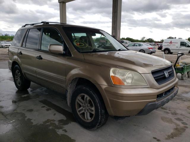 HONDA PILOT EX 2005 with VIN 5FNYF18445B009582 - Photo from auction