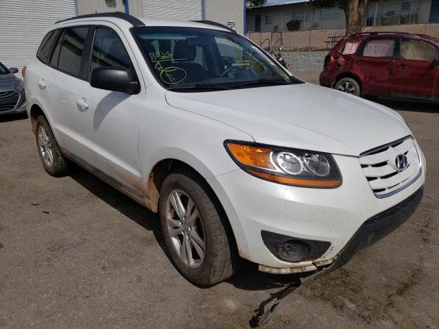 Photo 1 from auction – 2010 HYUNDAI SANTA FE G with VIN 5NMSGDABXAH407515
