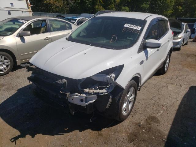 Photo 2 from auction – 2013 FORD ESCAPE SE with VIN 1FMCU0GX2DUD75709