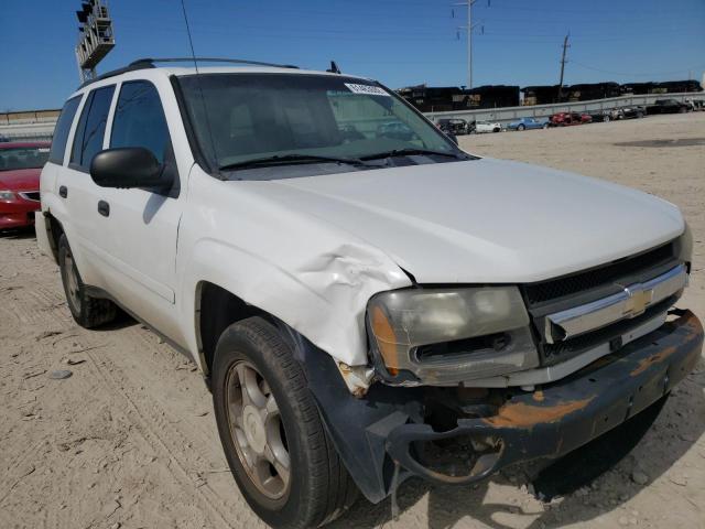 CHEVROLET TRAILBLAZE 2007 with VIN 1GNDT13S872149158 - Photo from auction
