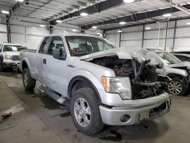 FORD F150 SUPER 2009 with VIN 1FTRX14W39FA27176 - Photo from auction