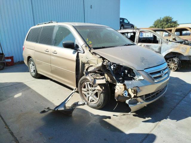 Photo 1 from auction – 2005 HONDA ODYSSEY EX with VIN 5FNRL38655B408558