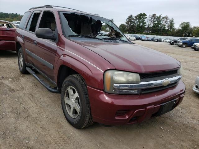 CHEVROLET TRAILBLAZE 2005 with VIN 1GNDT13S952284906 - Photo from auction