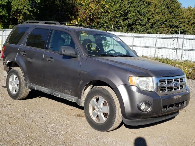 Photo 1 from auction – 2010 FORD ESCAPE XLT with VIN 1FMCU0DG6AKB72527
