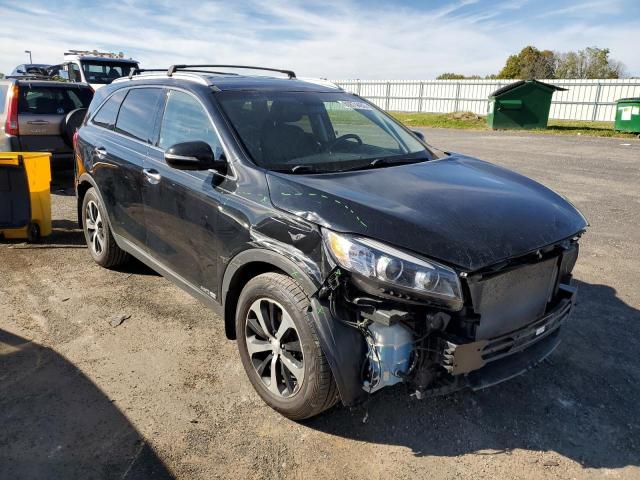 KIA SORENTO EX 2016 with VIN 5XYPHDA54GG182878 - Photo from auction