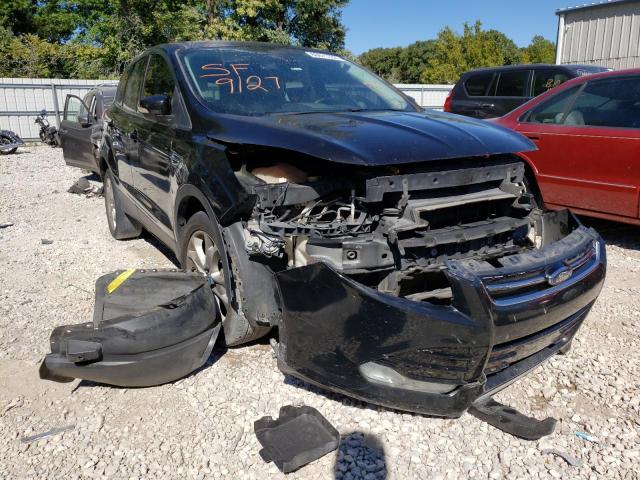 FORD ESCAPE SEL 2013 with VIN 1FMCU0H96DUB00540 - Photo from auction