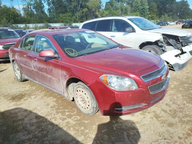 CHEVROLET MALIBU 2LT 2010 with VIN 1G1ZD5EBXAF117899 - Photo from auction